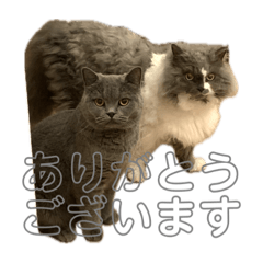 namimori_20231206210933