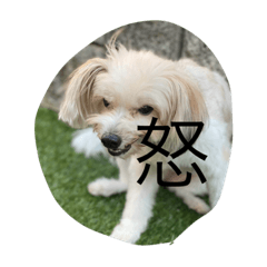 kana_20231206185209