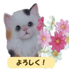 大人可愛い手描き猫スタンプ・お花チャーム