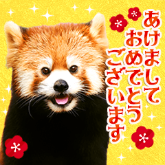 Cute animal Photo New Year Sticker