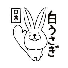 [Daily life] White rabbit