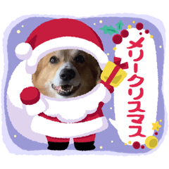 Rinsutappy_20231207000544