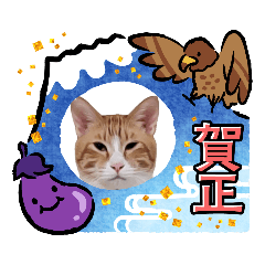 pon_pon20231206194009