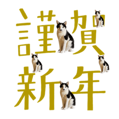 パラノイヤ雑貨店の猫様達②(関西弁)