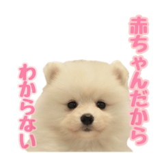 eririn_20231207172312