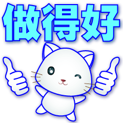 practical phrases- Cute white cat