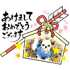 champ vert_20231207201653