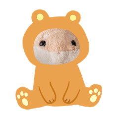 abcdefghijklmnopqrika