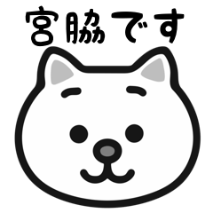 Miyawaki cat stickers