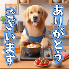 Golden Retriever making Japanese food
