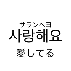 zooo._20231206103527