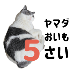 Honjitsu no Oimo-san Stamp 5