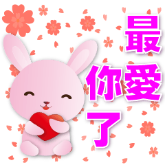 Q Pink Rabbit-Sweet & Practical-Lovers