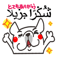 Arabic. french bulldog. Modified version