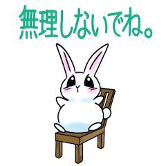 Happiness prayer Rabbit:Consideration
