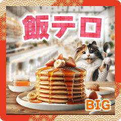 MESHI TERO CATS AKEOME [BIG]