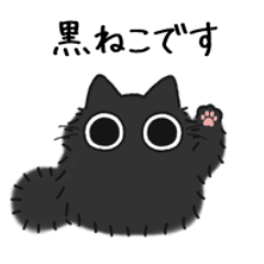 Black chubby cat (Long-haired) 2