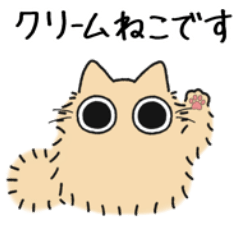 Cream chubby cat (Long-haired) 2