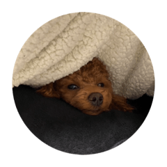 f.koume_20231208224935