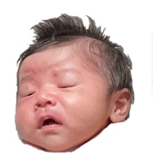 syo_20231209002011
