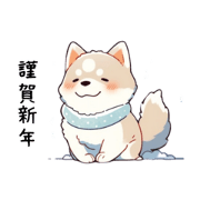 rui_20231209111056