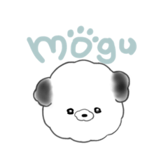 toypoodle_mogu