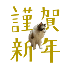 愛猫杏太郎の挨拶