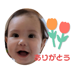 Alex kun 3