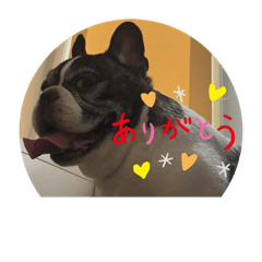 yuka_20231209191037