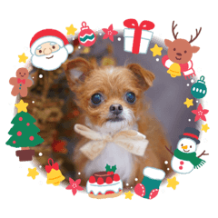 Suzu_20231210103409