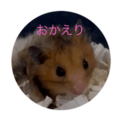 Yuka_20231209231437