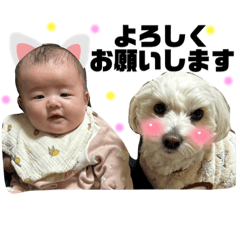 Nao_20231209231603