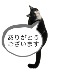 8ware_20231210123723
