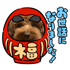 nnnnannna_20231209211625
