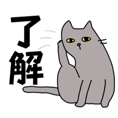 Gray Cat Daily Life Sticker