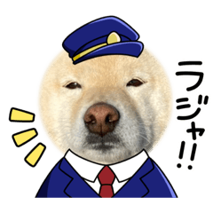 shiba_20231210211551