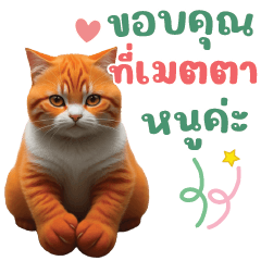 Meow Somjang - Happy New Year