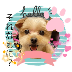 suzu_20231210205918