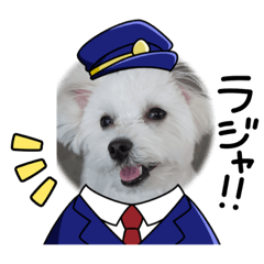 peco_20231210224643