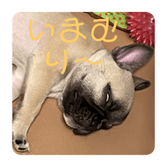 tanaka_20231210231847