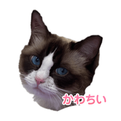 yuka_131011