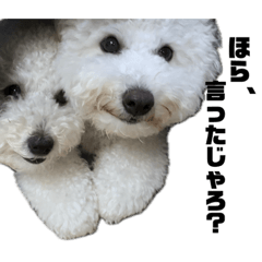 omochi_20231211114739