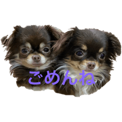 kana_20231211130037