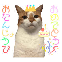 tubuann_20231211134616