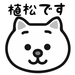 Uematsu cat stickers