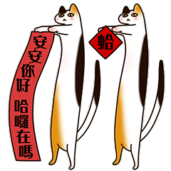 เทศกาลตรุษจีนแมวยืน 3