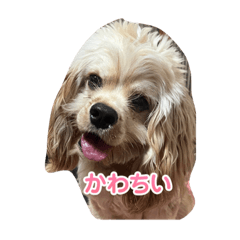 kana_20231211000445