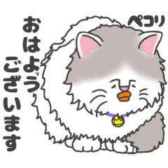 Henapico.  healing cat.