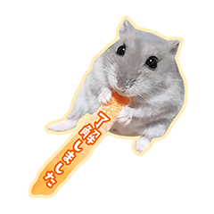 hamster Kodama