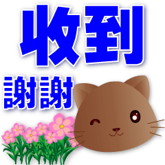Cute chocolate cat -common phrase